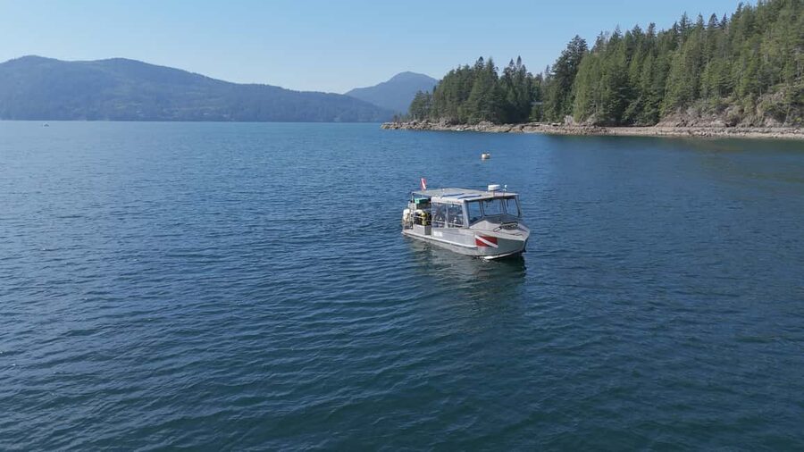 Vancouver UNESCO Biosphere Reserve Wildlife Scenic Boat Tour - Your 2-hour Howe Sound cruise, from dock to returned dock
