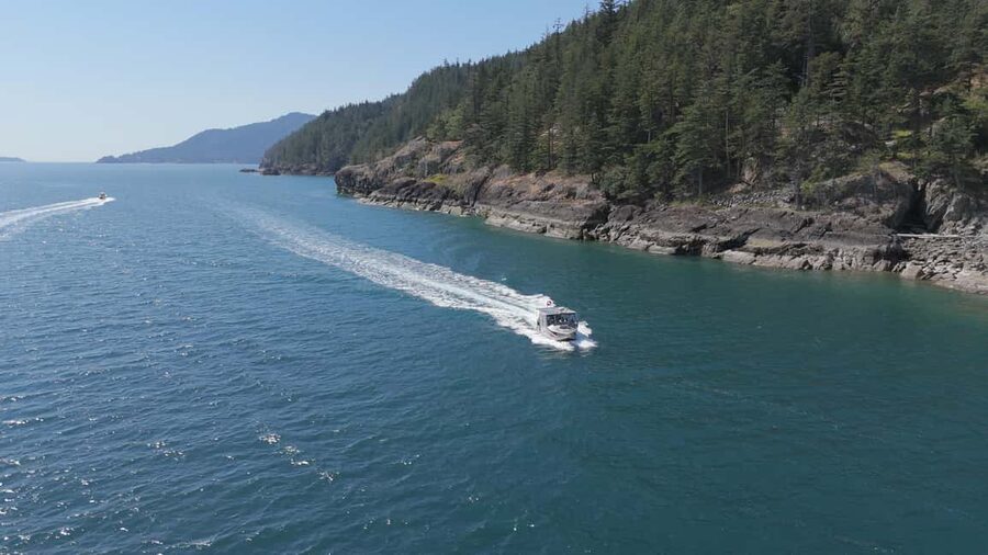 Vancouver UNESCO Biosphere Reserve Wildlife Scenic Boat Tour - Price and value: is $87 a smart use of your time?