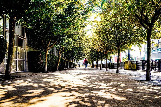 Vancouver Walking Tour: Explore Top Sights & Hidden Gems - Key Things You’ll Notice on This Walk
