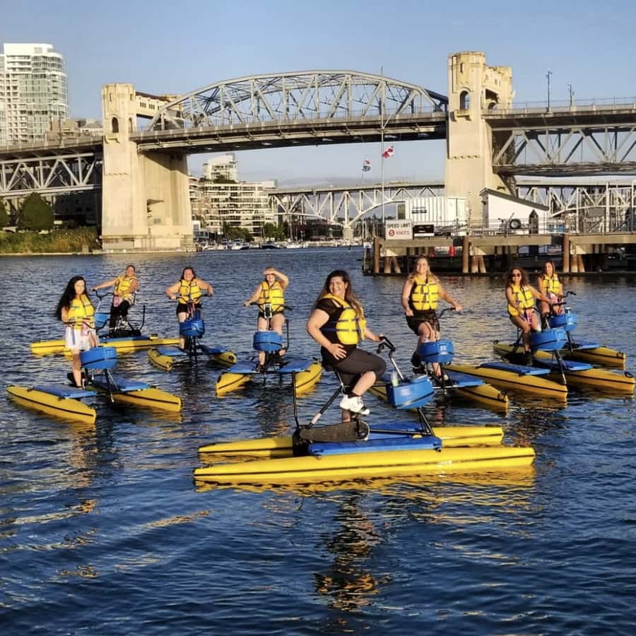Vancouver: Water Bike Rental in False Creek - Wildlife on False Creek: What You’re Likely to See