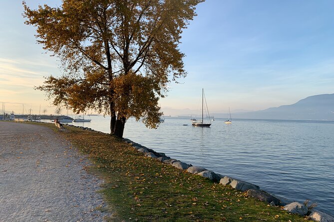 Vancouver Waterfront Guided Bike / Ebike Tour - Stanley Park, Granville Island, and the west side viewpoint arc