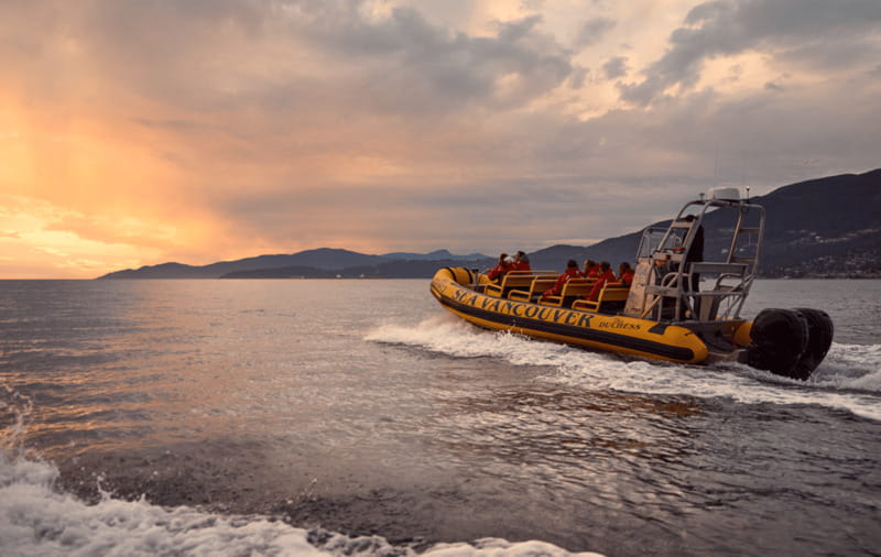 Vancouver: Waterfront Sightseeing Tour - City and Harbour - Stanley Park and the harbour skyline: the return that makes it feel worth it