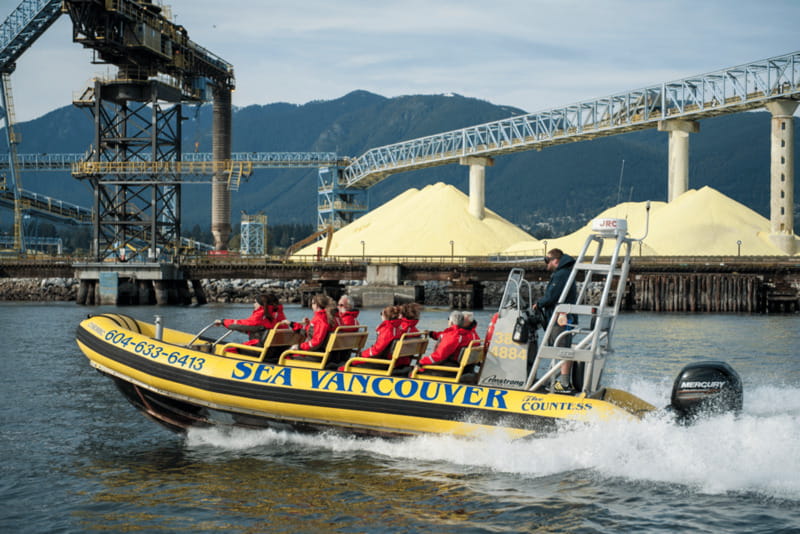 Vancouver: Waterfront Sightseeing Tour - City and Harbour - Wildlife spotting plus the Free Photo Package