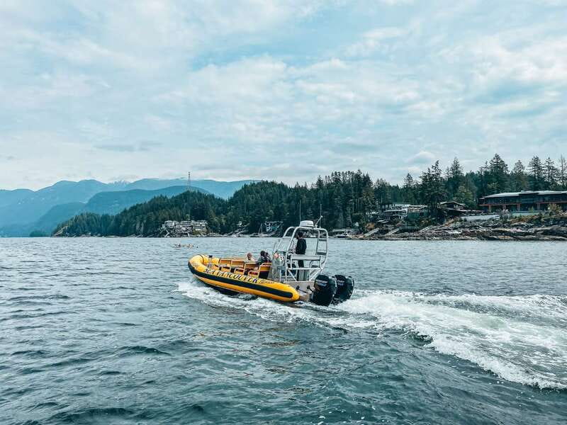 Vancouver: Waterfront Sightseeing Tour - City and Nature - From Granville Island Check-In to RIB Ready