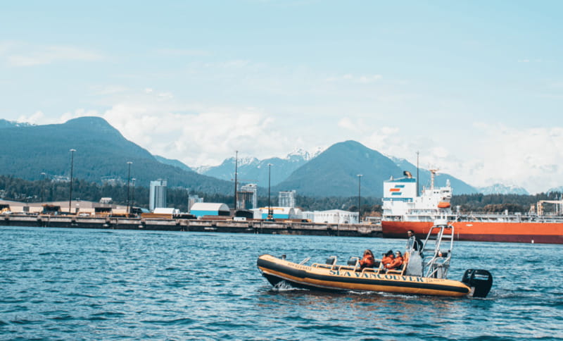 Vancouver: Waterfront Sightseeing Tour - City and Nature - Lighthouse Park and Point Atkinson Seal Country