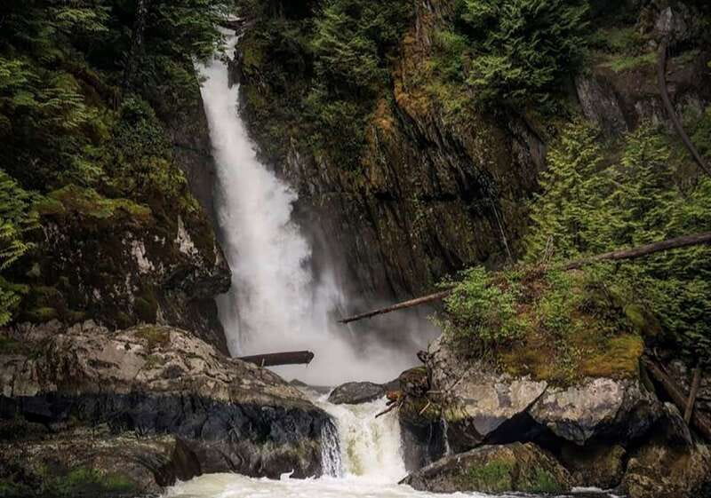 Vancouver: Waterfront Sightseeing Tour - City and Waterfall - Meeting at Prince of Whales on Granville Island, and what to do before you board