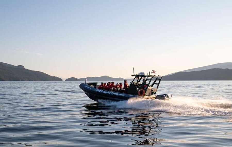 Vancouver: Zodiac Whale Watching Tour from Granville Island - Key Points to Know Before You Go