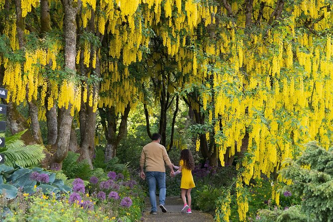 VanDusen Botanical Garden Admission Ticket - A Vancouver oasis with plants, sculpture, and a maze