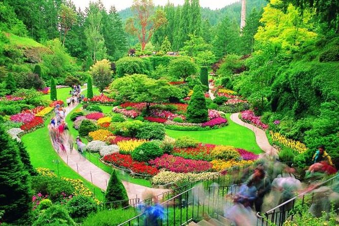 Victoria: Butchart, Mile 0, Harbor 1-Day Tour from Vancouver - Getting to Victoria by Ferry: Gulf Islands Views and Wildlife Watch