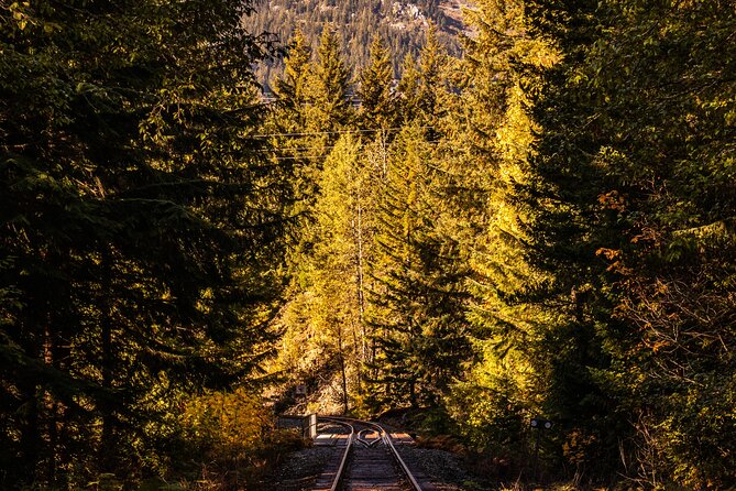 Waterfalls to Whistler Private Tour One Way - Shannon Falls Provincial Park: Tall Water, Easy Access