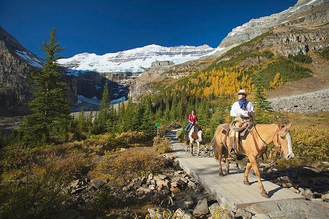 Western Trails - One Way Vancouver To Calgary Rockies Bus Tour - Start in Vancouver, roll out at 8:15 am, and finish in Calgary