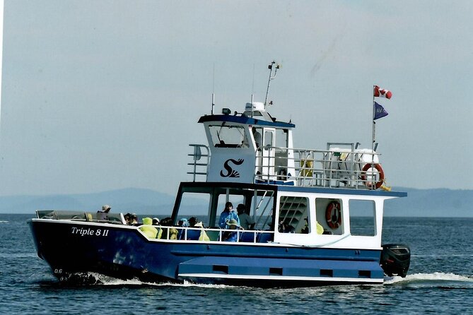 Whale Watching Adventure from Vancouver BC - The Naturalist Touch, Including Grace