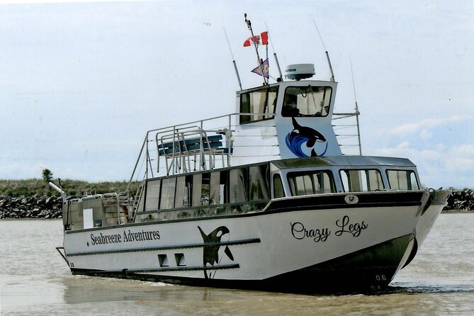 Whale Watching Adventure from Vancouver BC - Group Size, Booking Timing, and How to Choose Your Day