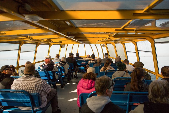 Whale-Watching Tour from Vancouver - Wildlife beyond whales: seals, sea lions, porpoises, and eagles