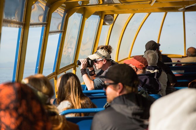 Whale-Watching Tour from Vancouver - Price and value at about $157.09 per person
