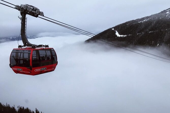 Whistler 1-Day Tour from Vancouver (Chn&Eng) - Peak 2 Peak Gondola: the big add-on and the tight window