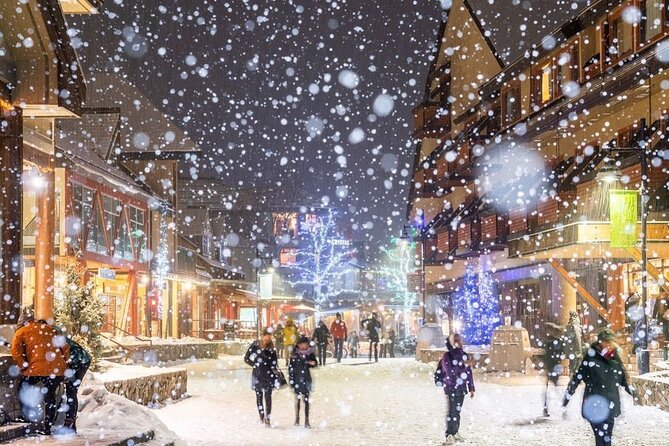 Whistler 1-Day Tour from Vancouver (Chn&Eng) - Price and logistics: what $81.48 covers, and what adds up