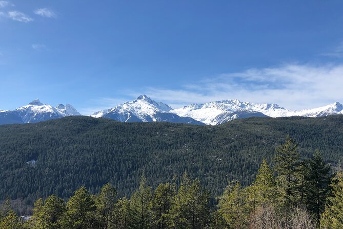 Whistler and Sea to Sky Gondola, a Fire and Ice Discovery Tour - Priority Sea to Sky Gondola to Habrich Ridge and Sky Pilot Bridge