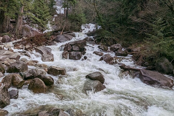 Whistler+Sea 2 Sky Gondola+Shanon Fall+GreenLake+Porteau CoveTour - Shannon Falls Provincial Park: A 30-Minute Waterfall Hit