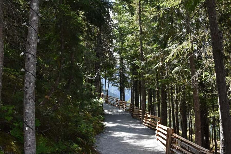 Whistler, Sea to Sky Gondola, and Shannon Falls Day Trip - Should you book this day trip?