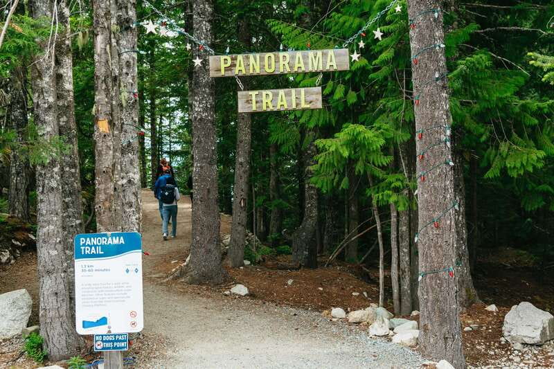 Whistler, Sea to Sky Gondola, and Shannon Falls Day Trip - Price and value at $141 per person, plus what you still pay for