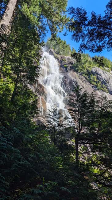 Whistler, Sea to Sky Gondola, Shannon Fall & Green Lake Tour - Price and Value at About $160 Per Person