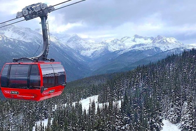 Whistler Sightseeing Tour from Vancouver: See Horseshoe Bay and Shannon Falls - Lions Gate to Horseshoe Bay, the coast changes character