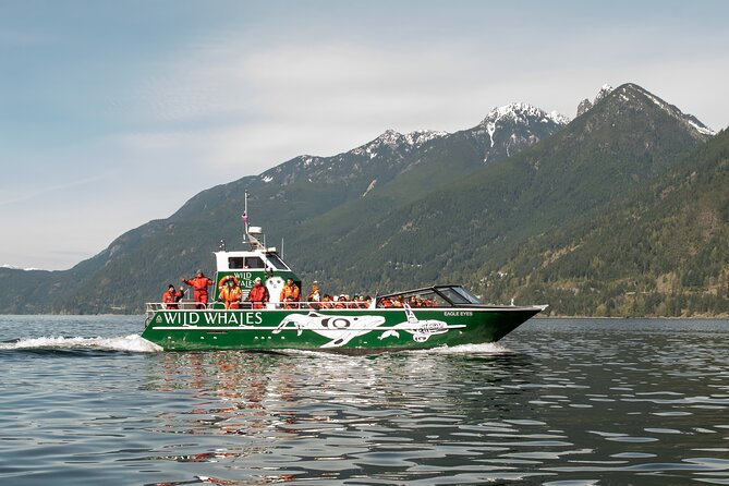 Wild Whale Watching Experience - Open Air Vessel - Key points to know before you go